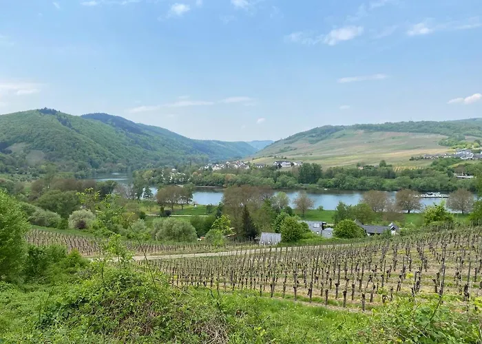 Bei Stenze Inklusive Kostenlosem Regionalem Nahverkehr Appartement Senheim